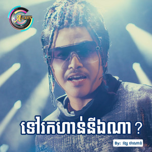 ទៅរកហាន់នីឯណា? by វង្ស ថាណាន់
