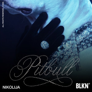 Nikolija - Pitbull