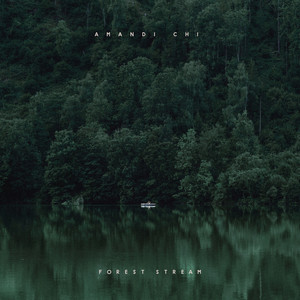 Forest Stream by Amandi Chi