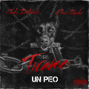 Tirame Un Peo by Chiki Detonalo, Flow Peluche