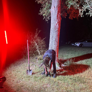 First day out (unfinished song)