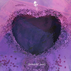Beautiful Soul