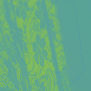 ROLETA by COLORS BEAT