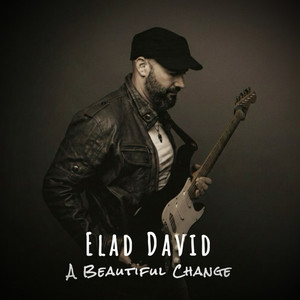 Guide Me by Elad David