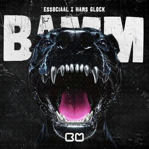 BAMM by Essociaal, Hans Glock
