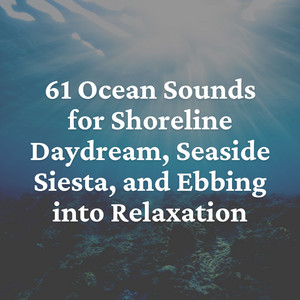 61 Ocean Sounds for Shoreline Daydream, Seaside Siesta, and Ebbing into Relaxation album