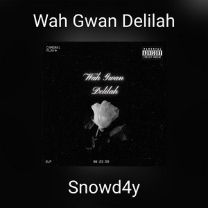 Snowd4y photo