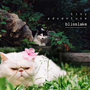 tiny adventure by blisslake
