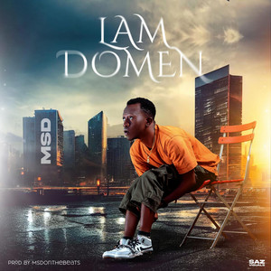 Msd - Lam Domen