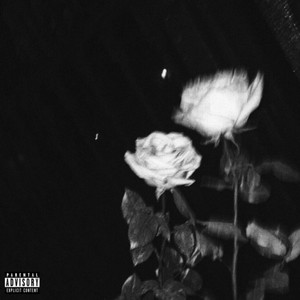 Portada de Heartbreaks
