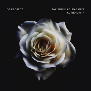 DJ Tak Ingin Lagi Rasanya Ku Bercinta by DB project