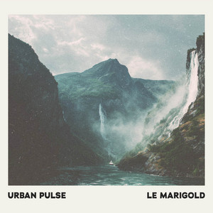 Urban Pulse