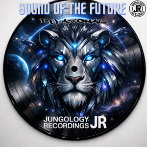 SOUND OF THE FUTURE (ORIGINAL) by DJ Axonal