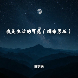 我生活的可悲（烟嗓男版） by 陈宇辰