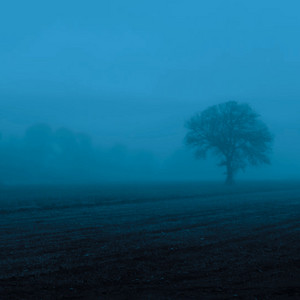 somewhere in my mind by tale., Introvert