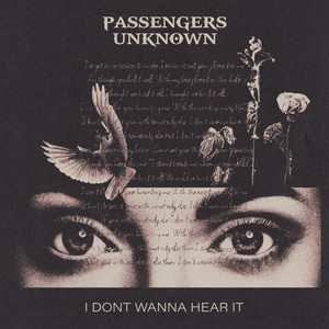 I Don't Wanna Hear It by Passengers Unknown