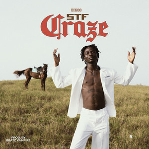 STF CRAZE by Dikoo