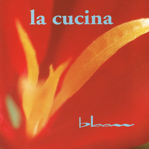 bloom cover
