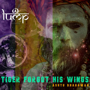 Tiger Forgot His Wings — Ashtu Bhagawan (2026)