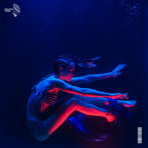 Vallvete, eyeroze & Melodyz Town - Easy On Me - Slowed + Reverb