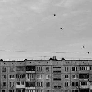 не болейте by QONTRAST, Bratdva