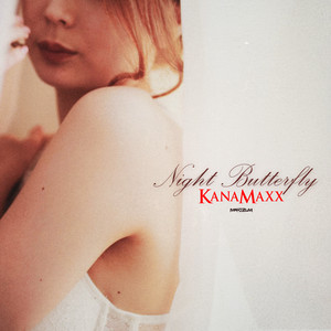 Night Butterfly