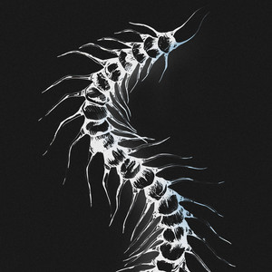crawl by cloudyfield