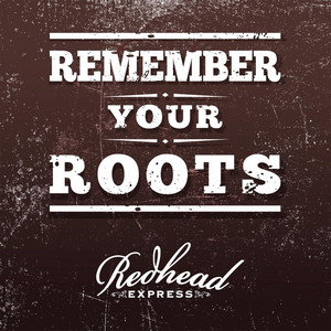 Lose My Mind by Redhead Express
