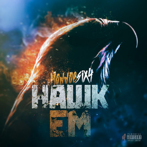 Hawk Em by MondoeSix4