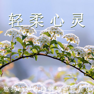 轻松舒缓 - 轻柔心灵(治愈钢琴)