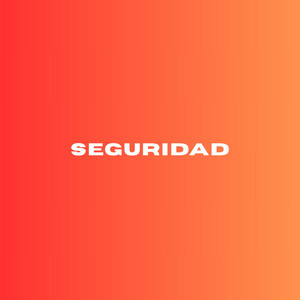 Seguridad by RONA DJ