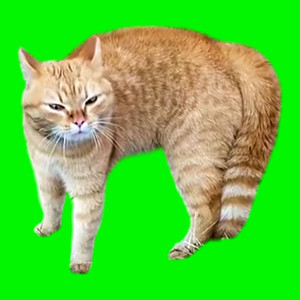 Go London CAT