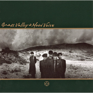 瓦礫の街～SEEK FOR LOVE (2019 Remastered) - Album by GRASS VALLEY