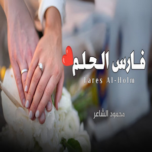 محمود الشاعر - فارس الحلم