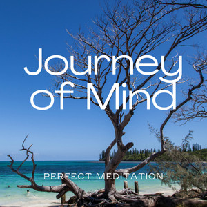 1 Journey of Mind album