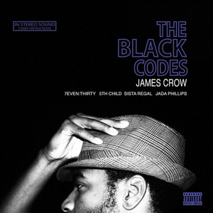 The Black Codes album