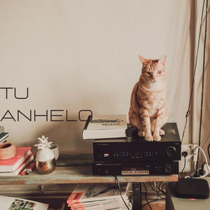 tu anhelo by margaditaxx