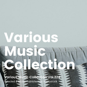 Kohrogi - Dull Color