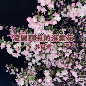 凌晨四点的海棠花 - 0.9X by 苏以沫