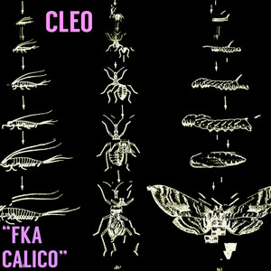 Purifier by CLEO