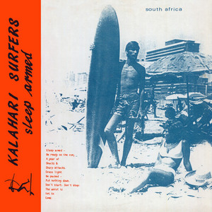 Kalahari Surfers poster