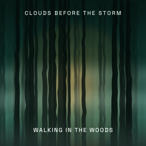 Walking in the Woods by Clouds Before The Storm