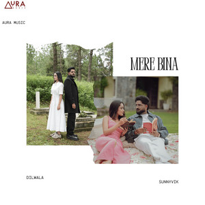 Mere Bina by Dilwala, Sunny Vik