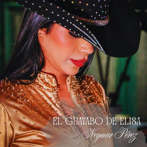 Neymar Perez - El Guayabo de Elisa