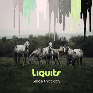 Liquits — Since That Day (2026)