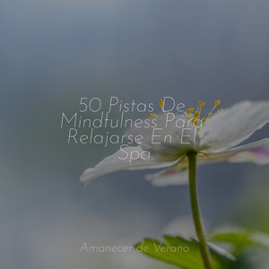 50 Pistas De Mindfulness Para Relajarse En El Spa