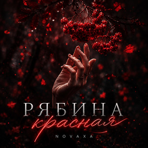 Рябина красная by NovaXA