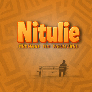 Nitulie by Click Master, Promise Africa