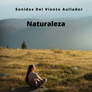 Naturaleza: Sonidos Del Viento Aullador album