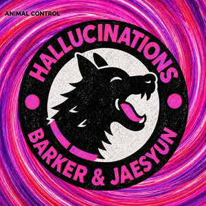 Hallucinations - Radio Mix by BARKER, Jaesyun